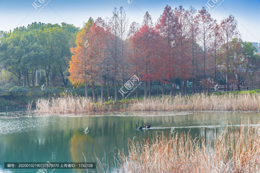 虎丘湿地