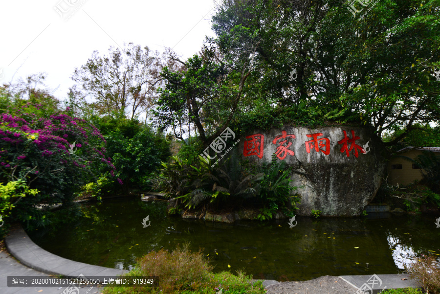 热带雨林