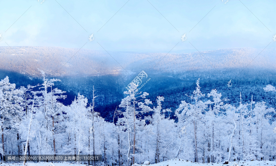 雪岭雾松雪挂