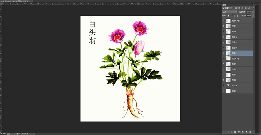 原創(chuàng)手繪草藥白頭翁