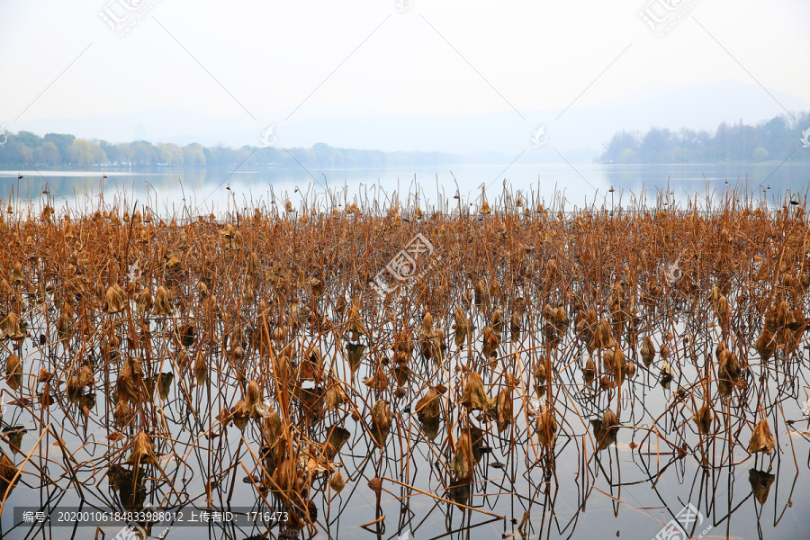 杭州西湖秋景