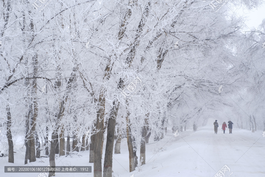 树林雪景