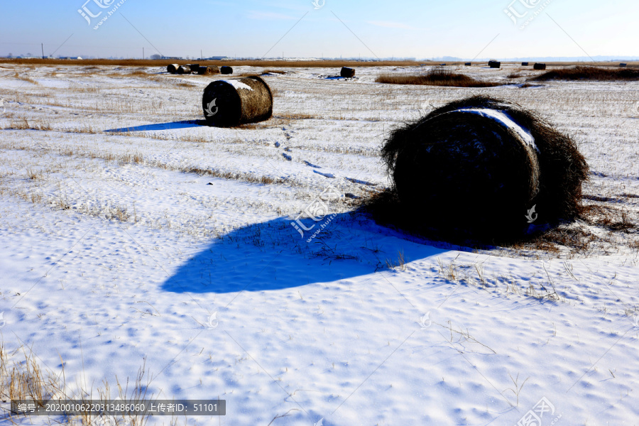 冬雪