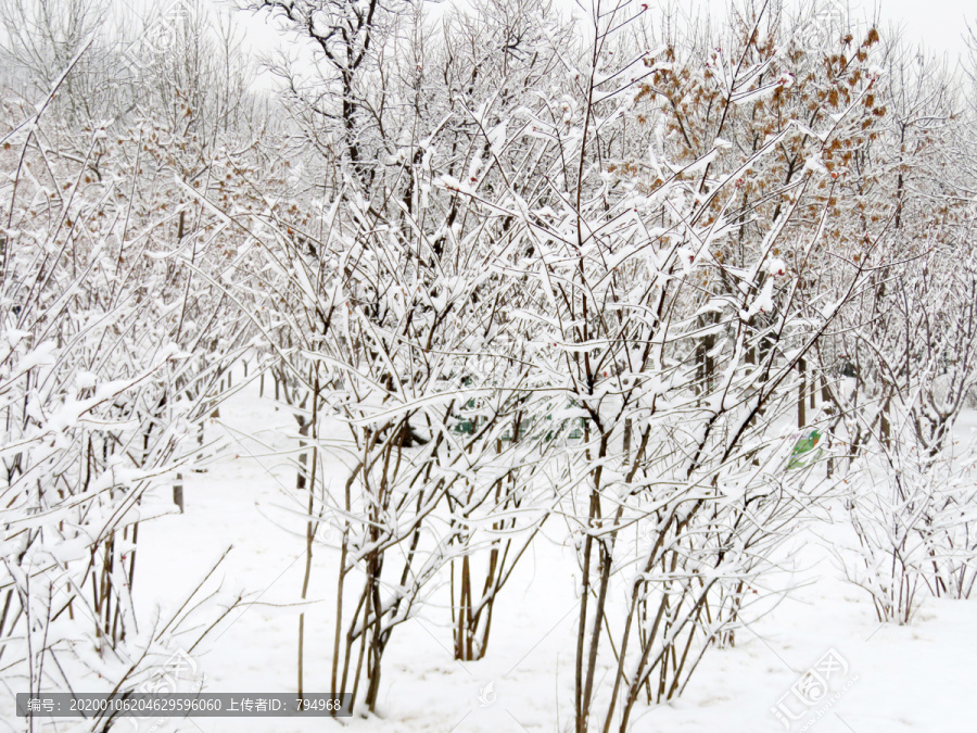 雪景风光