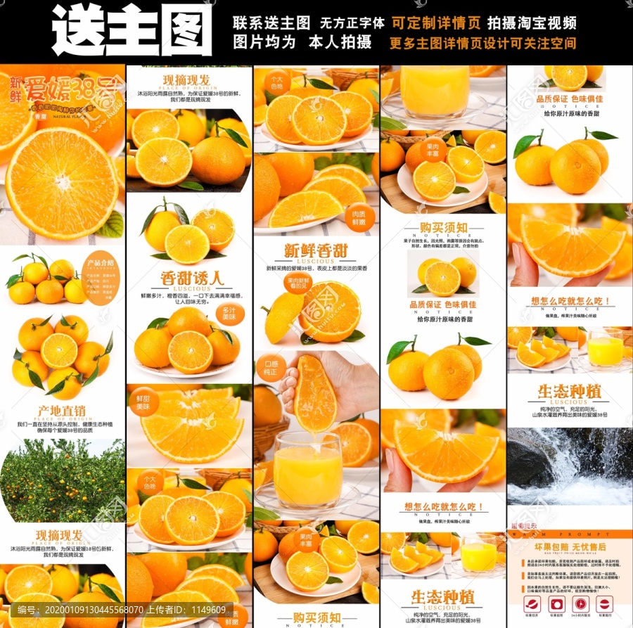 愛媛詳情