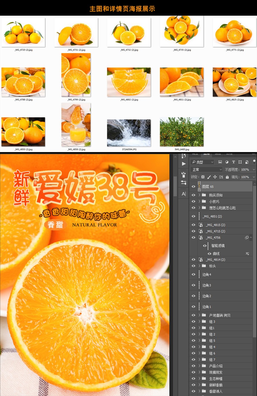 愛媛詳情