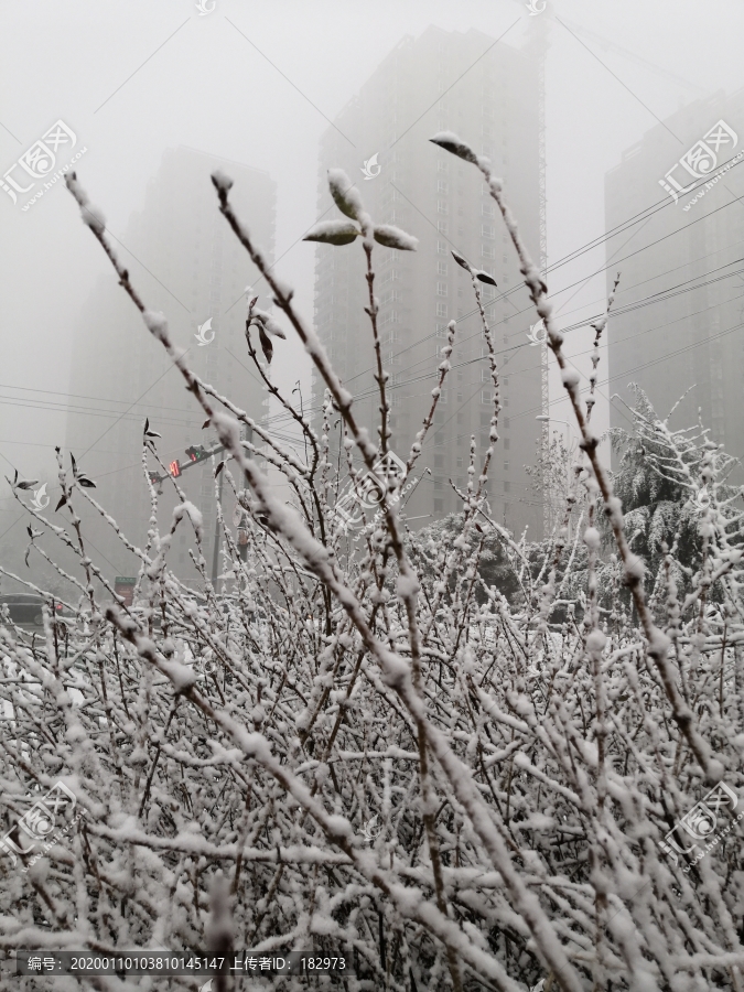 雾与雪