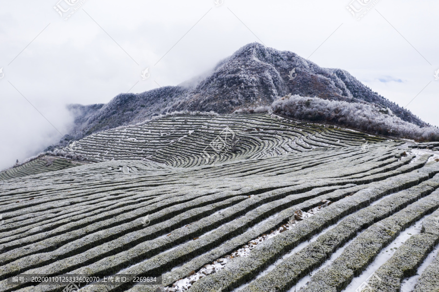 冰雪美图