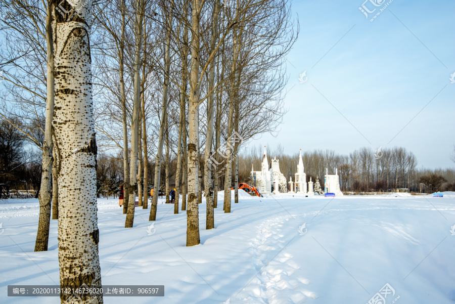 雪景树林