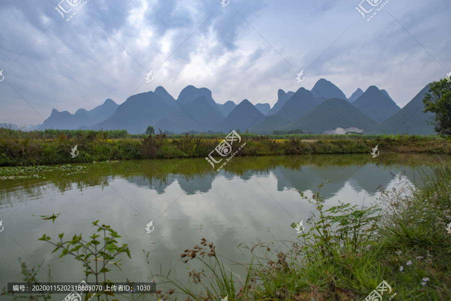 乡村鱼塘风光