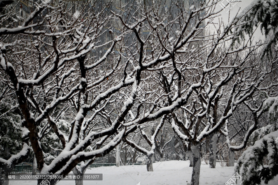 下雪