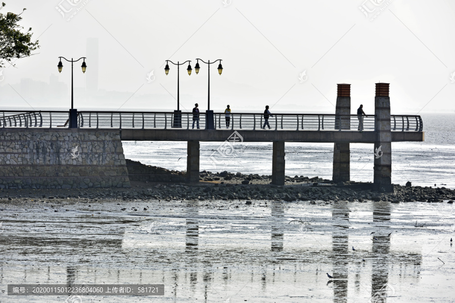 深圳湾公园北湾鹭港