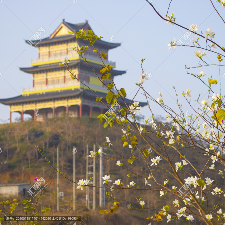 大垌山