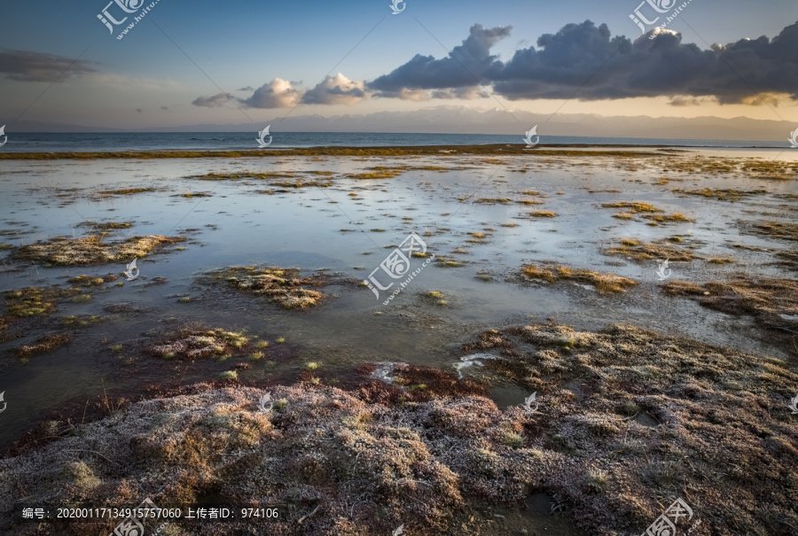 中国青海高原的大草原风光