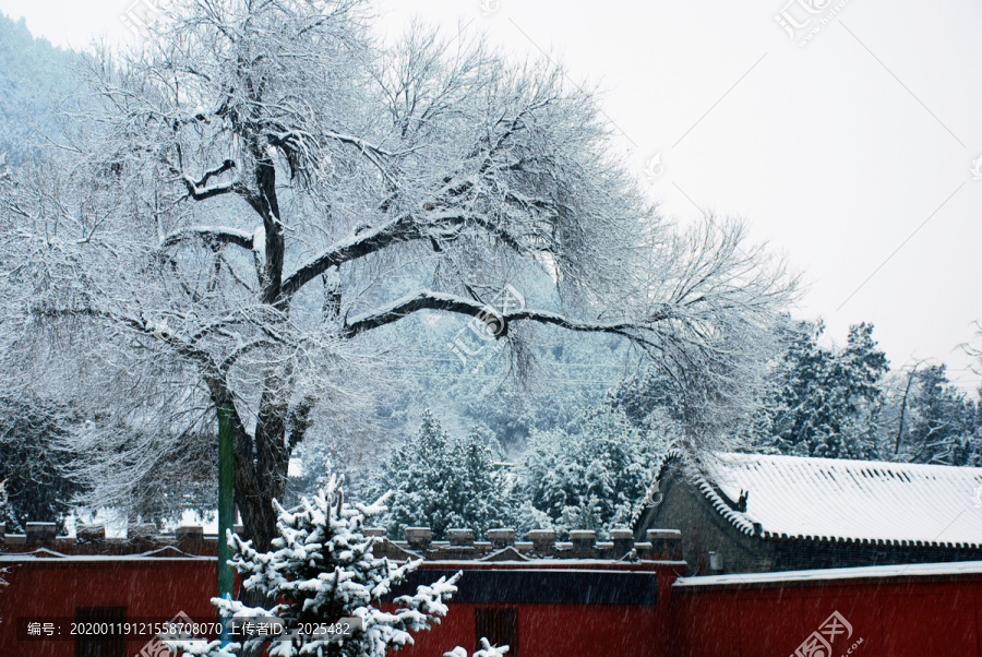 雪景