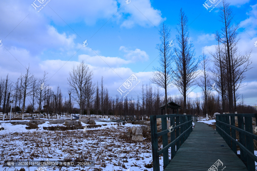 雪景