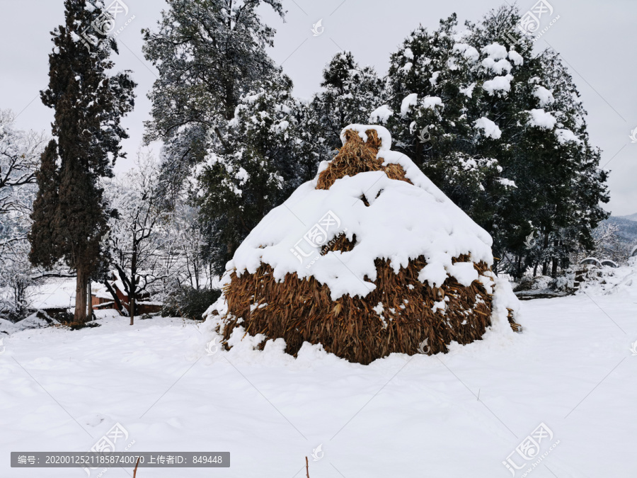 雪景