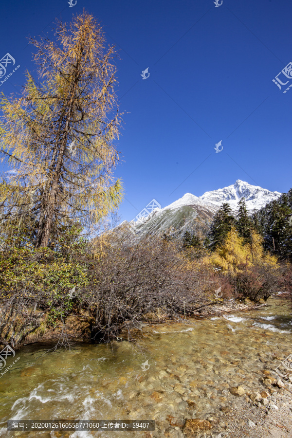 川西雪山毕棚沟秋色