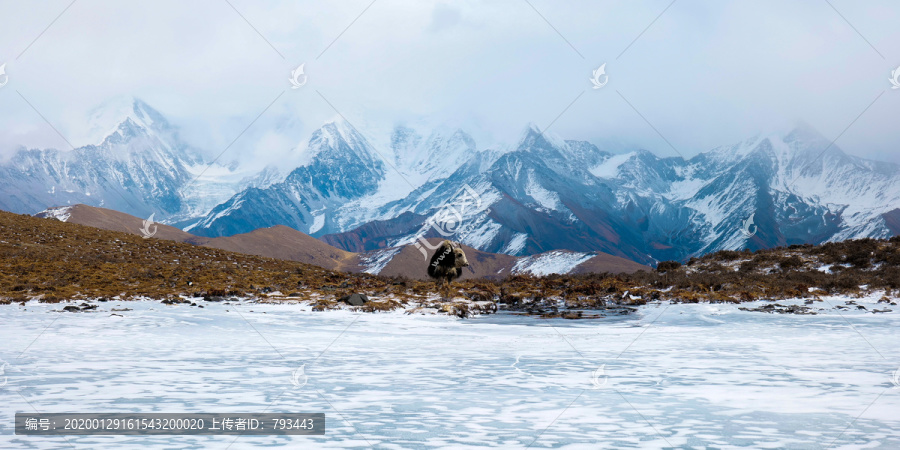 贡嘎雪山