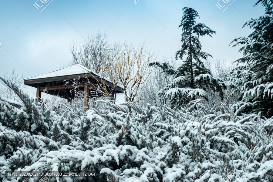 雪景