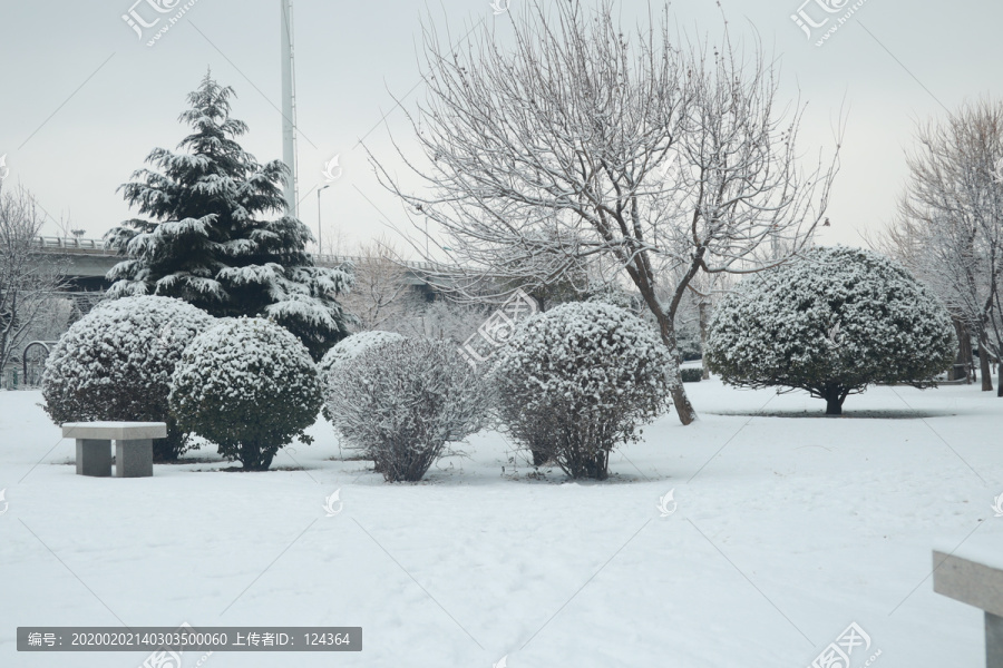 雪景