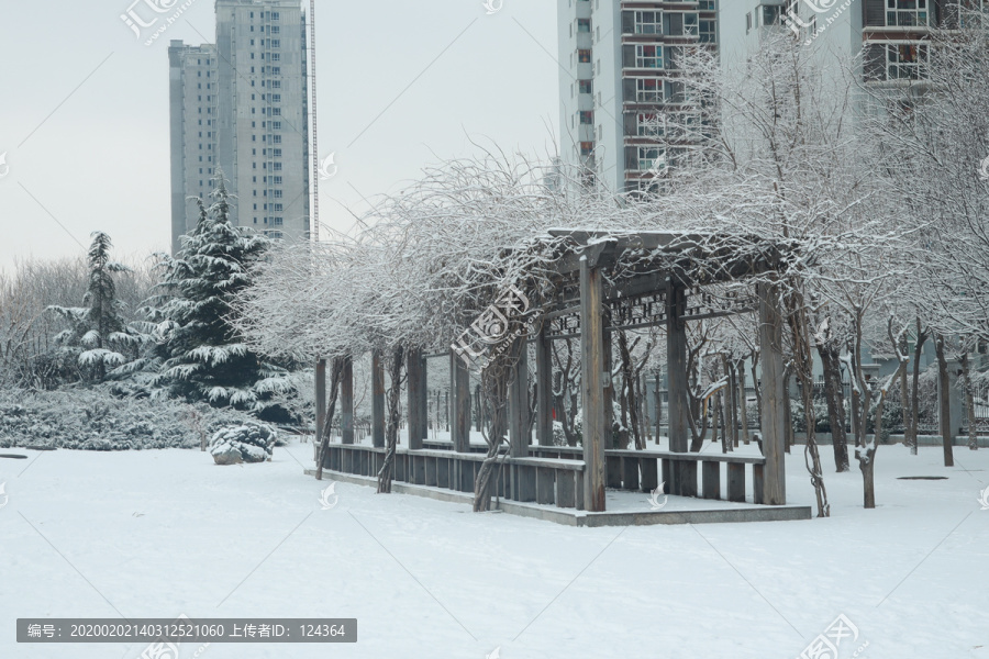 雪景