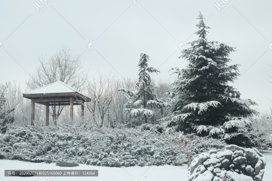 雪景