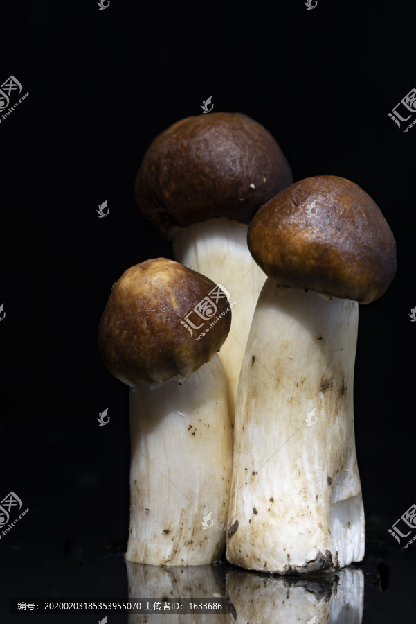 松茸菌菇