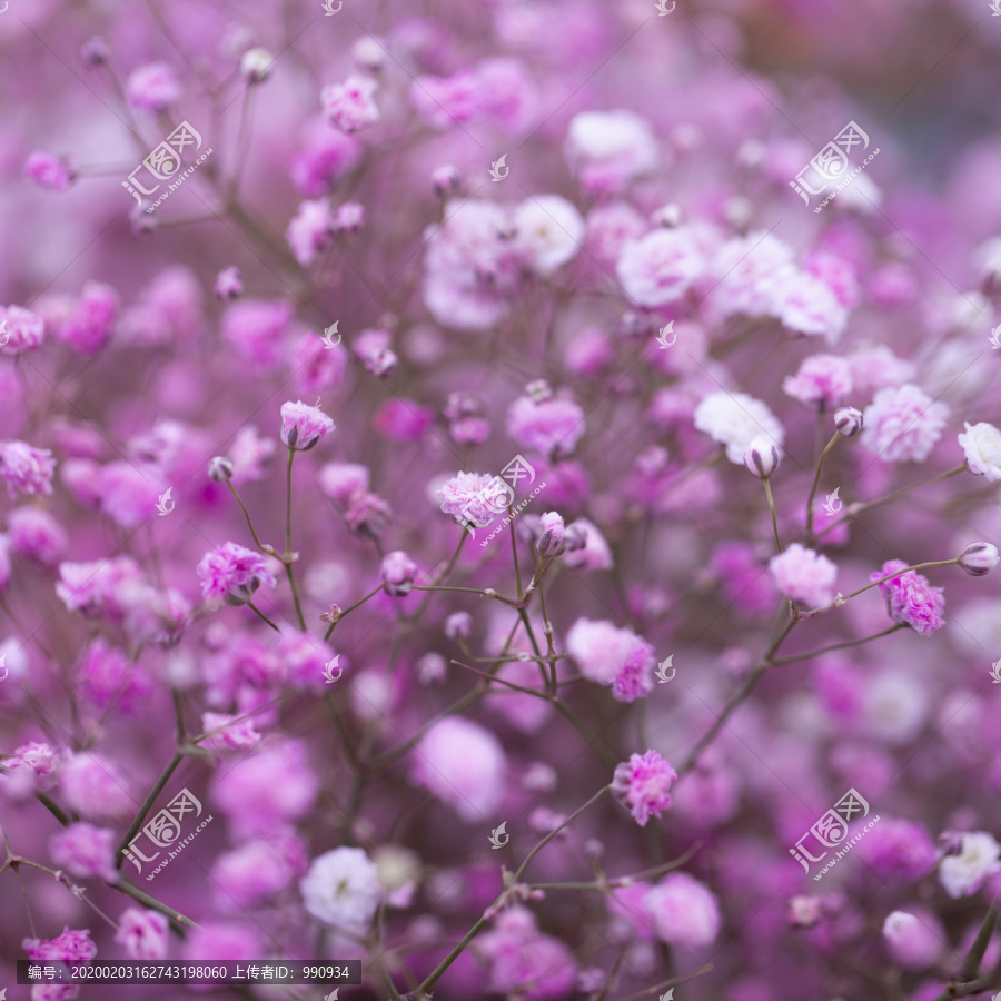 花束