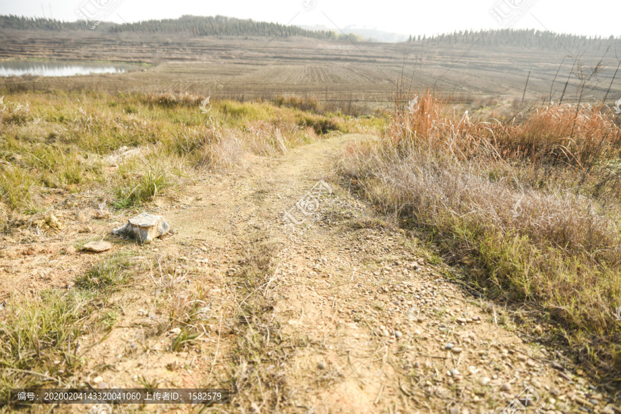 农村道路