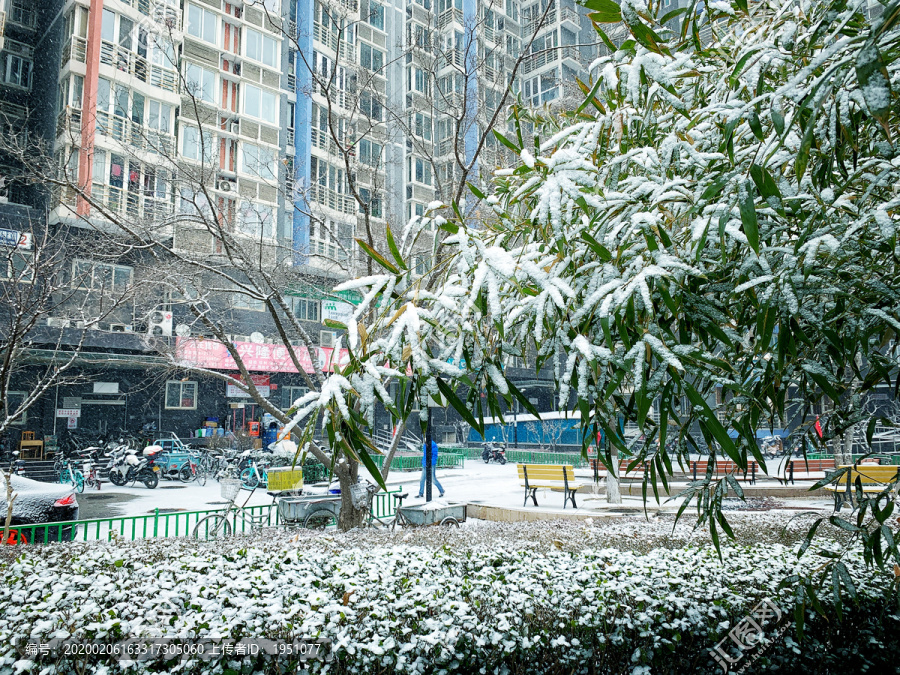 雪景