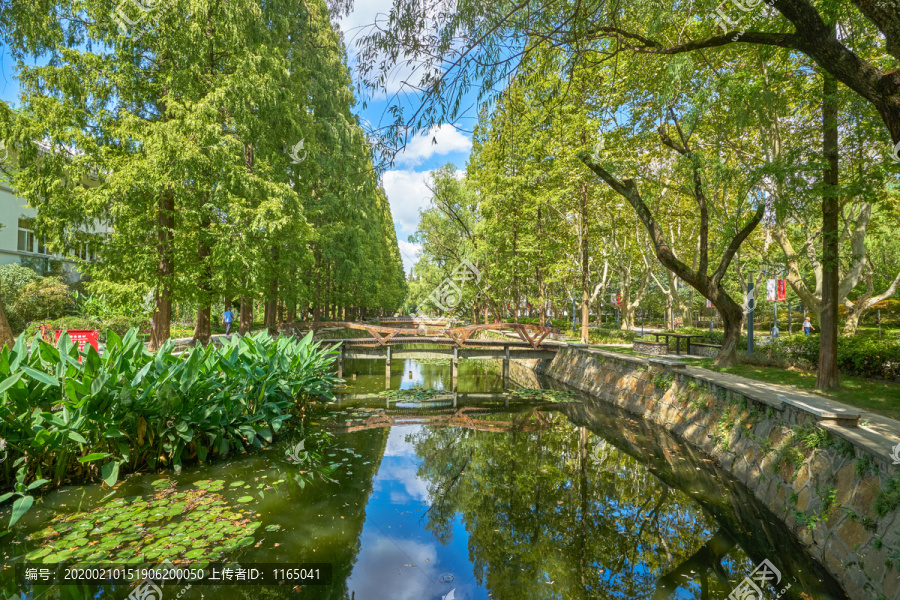 同济大学校园