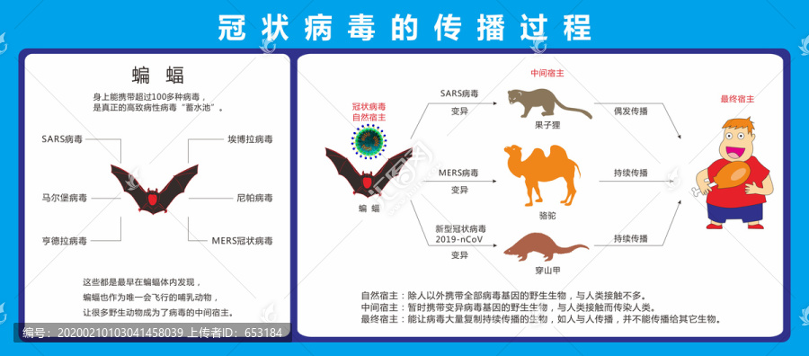 冠状病毒传播图