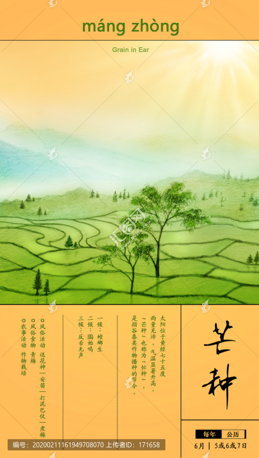 24節(jié)氣插畫芒種