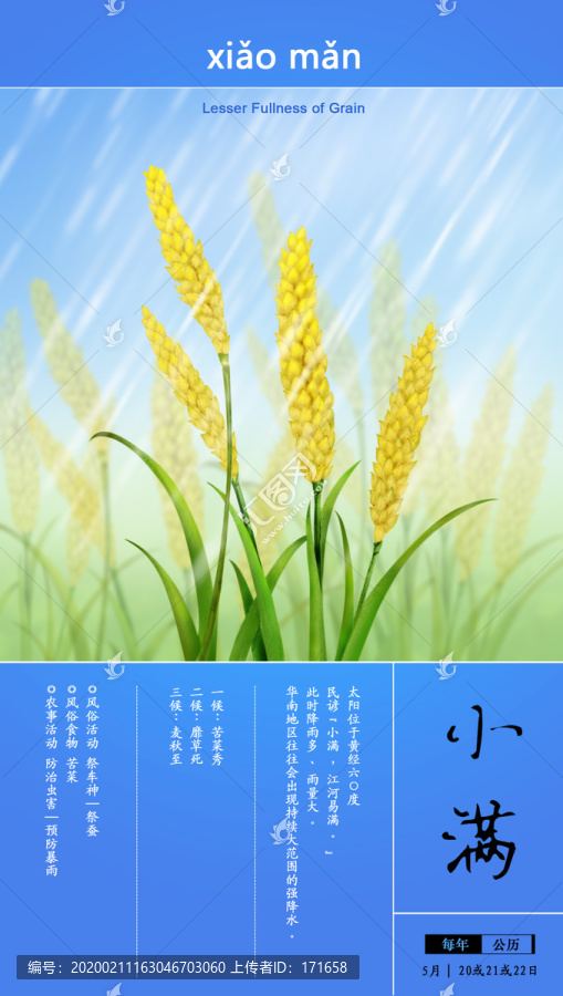 24節(jié)氣插畫(huà)小滿(mǎn)