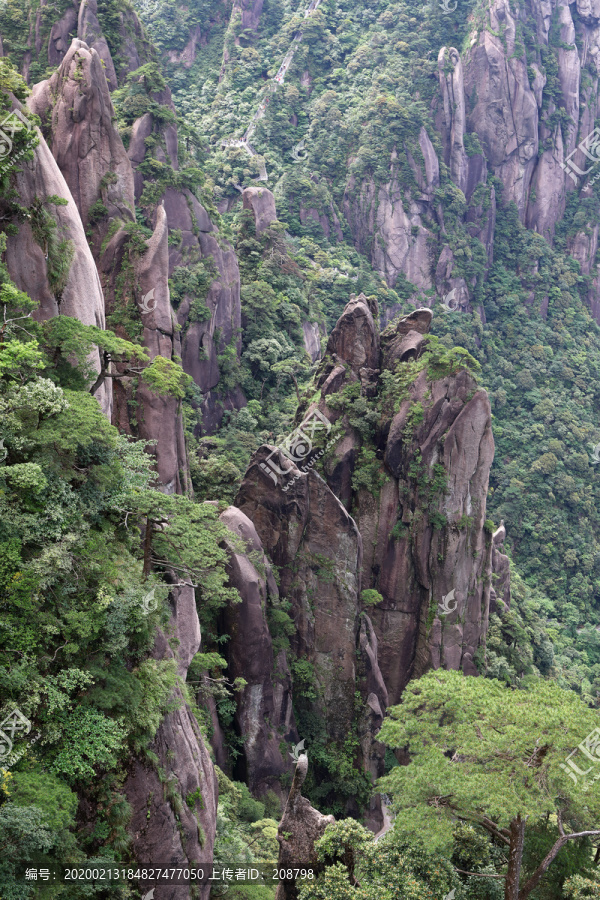 大山景观