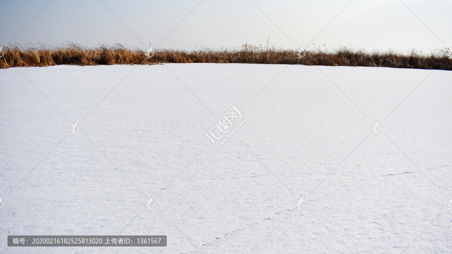 冰天雪地