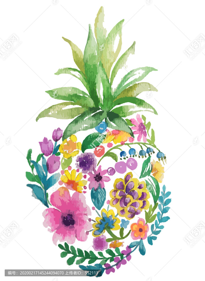 水彩菠萝花卉插画