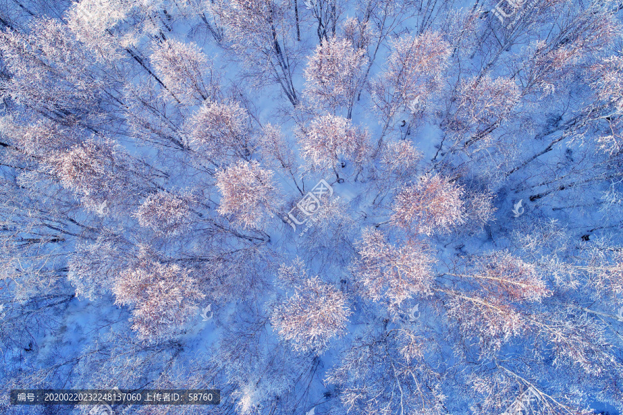 航拍雪原森林雾凇