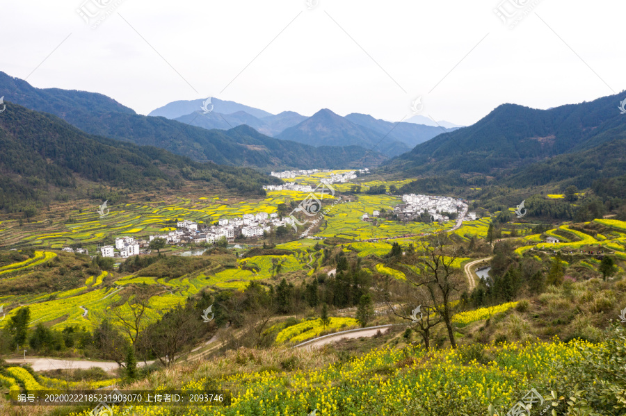 航拍江西婺源春季油菜花田野