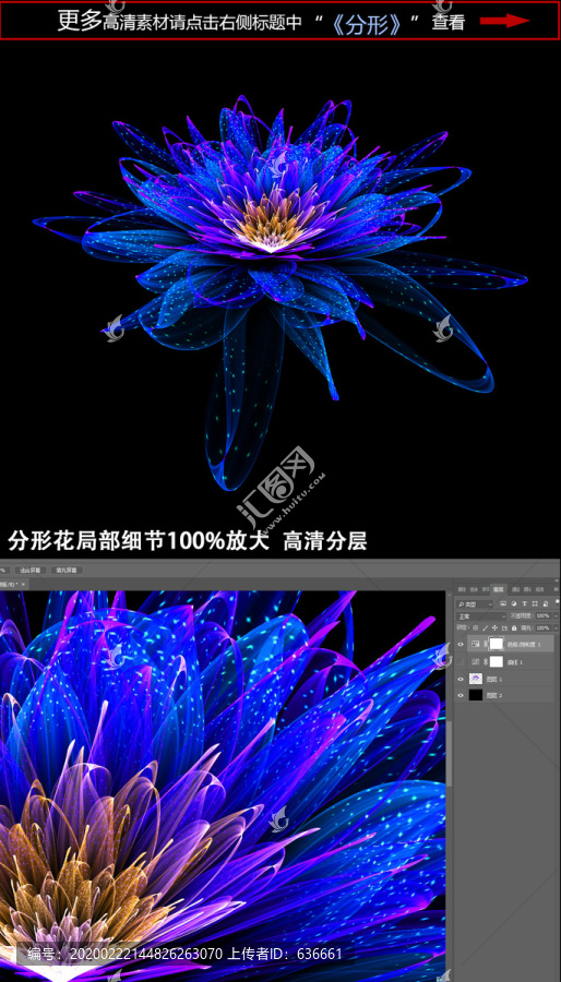 夢(mèng)幻花朵