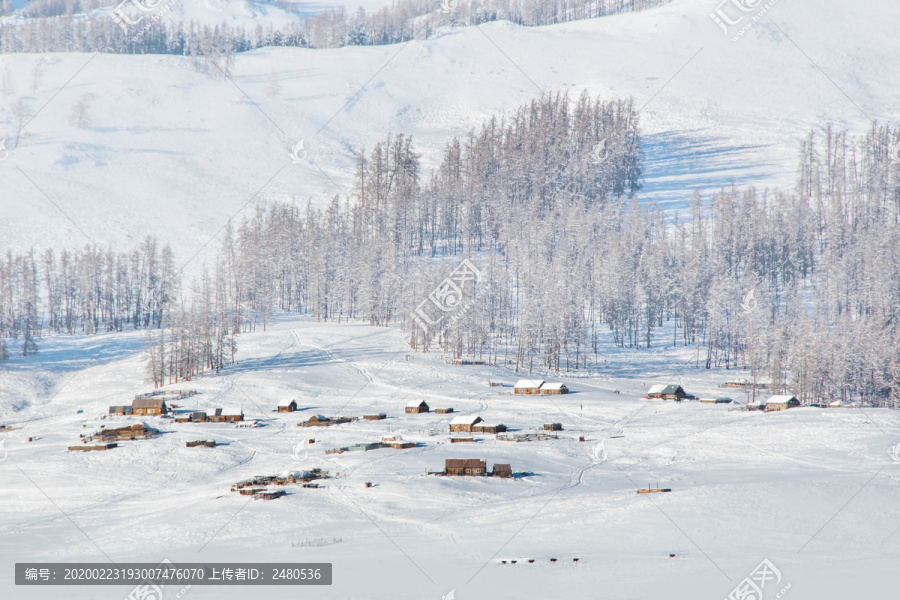 冬天喀纳斯雪景