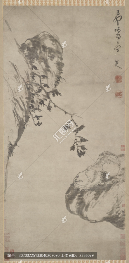 朱耷清八大山人蜷貓圖