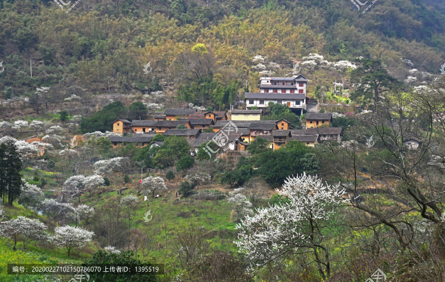 美丽乡村