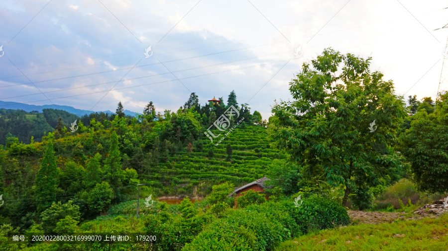 偏头山风光八