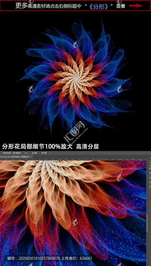 夢幻花朵