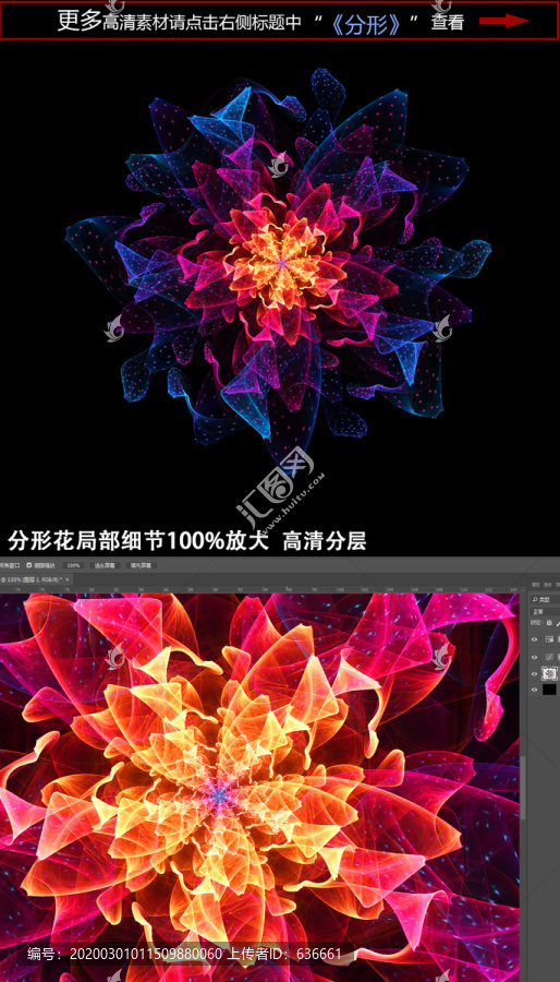 花朵光效