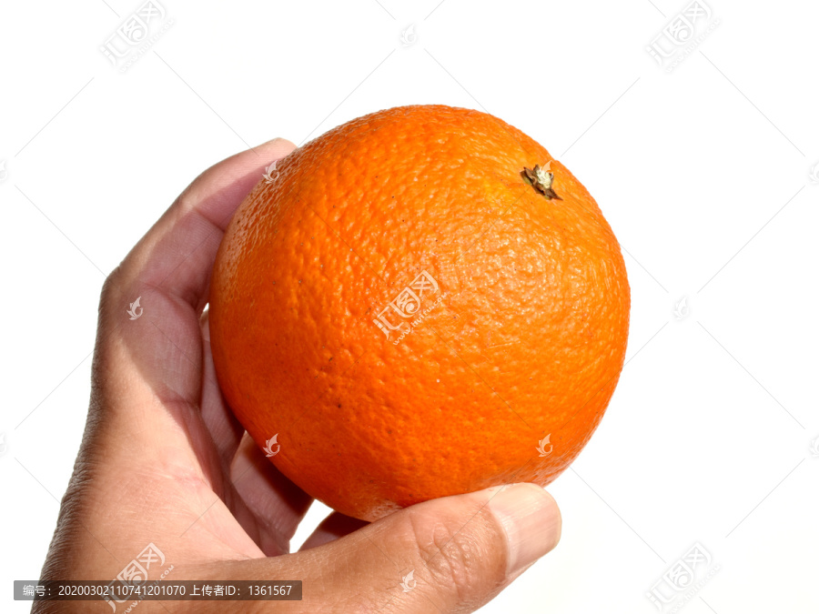 橙子白底图