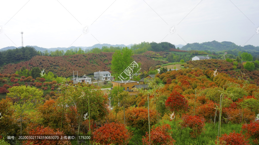 蒋家堰莲花寺五