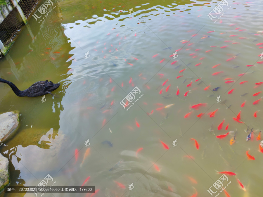 西安旅游鱼池